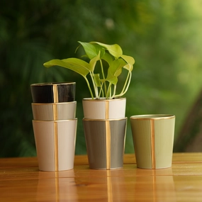 Cone shape With Glossy Finish Ceramic Planter shade perennial  