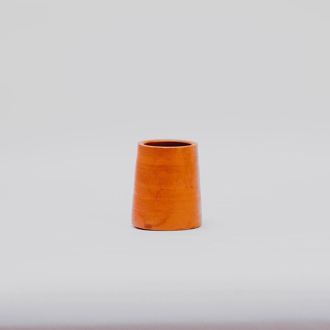Cone Shaped Table Planter cactus succulent plant  