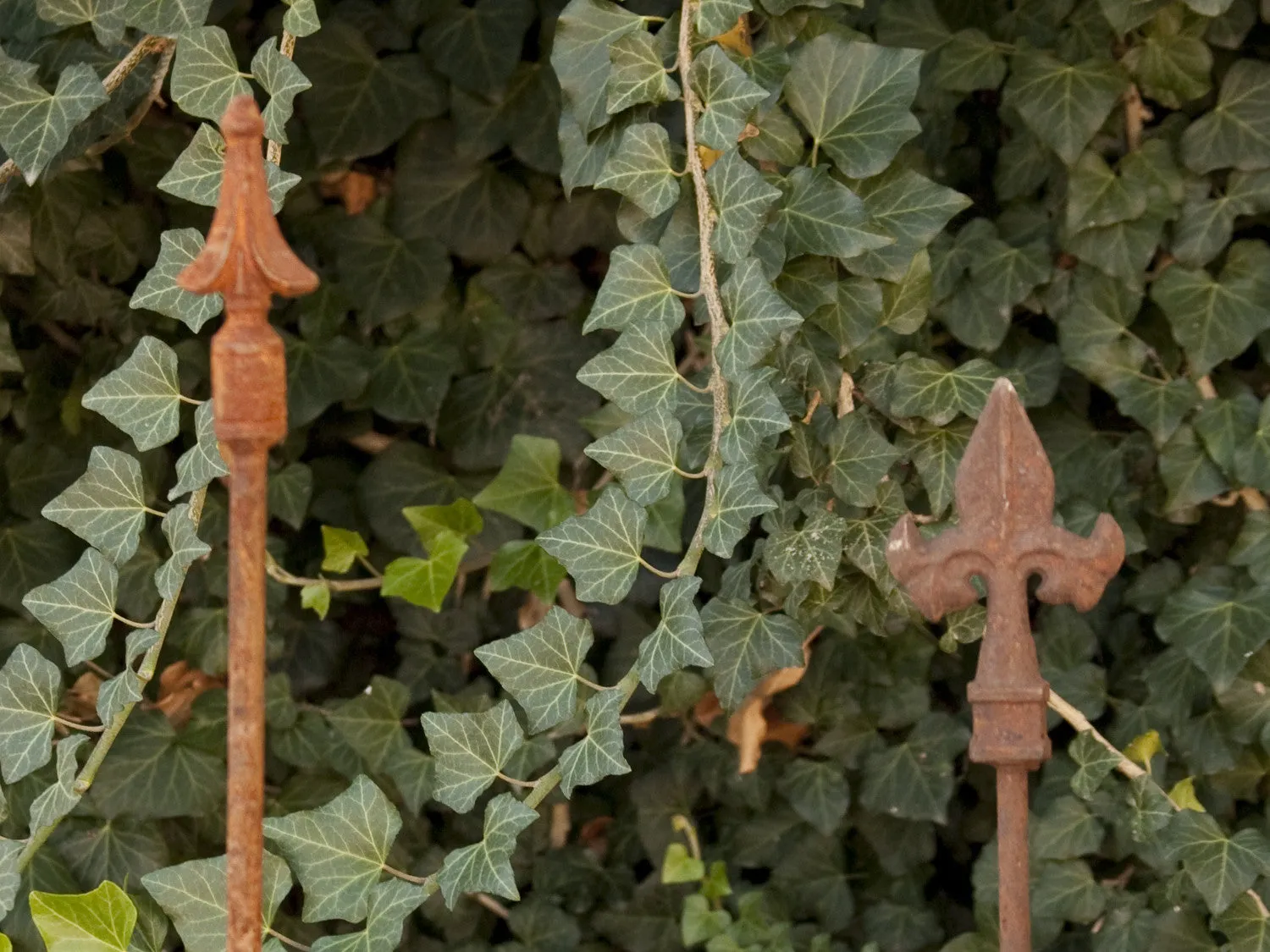 Connecting Stake on Right decorative plants  