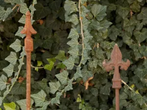 Connecting Stake on Right decorative plants  