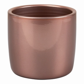 Copper Indoor Ceramic Cover  Pot Brilliant Copper (900) tall green plant  