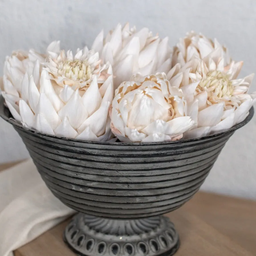 Cream Artichoke Head dried flowers  