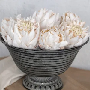 Cream Artichoke Head dried flowers  