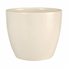 Cream Indoor Ceramic Cover Pot Creme (920) tall green plant  