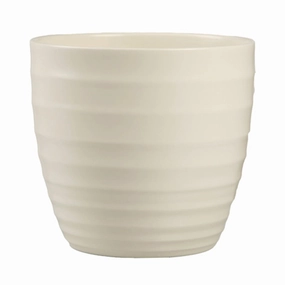 Cream Indoor Ceramic Cover  Pot Creme (923) tall green plant  