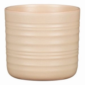Cream Indoor  Ceramic Pot Dry Reed (850) tall green plant  