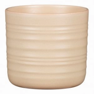 Cream Indoor  Ceramic Pot Dry Reed (850) tall green plant  