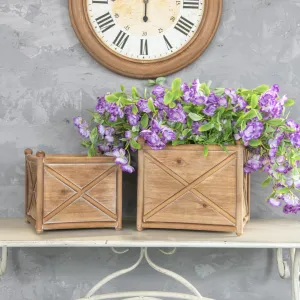 Criss Cross Crate Set dried flowers  