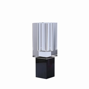 Crystal - Square Medium Vase with Black Foot mini ornamental plant  