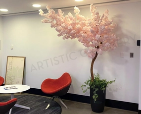 CT001-200 Custom-made Blossom Tree 200cm Light Pink sun perennial  