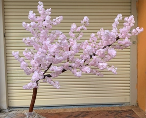 CT001 Custom-made Blossom Tree 150cm Light Pink sun perennial  