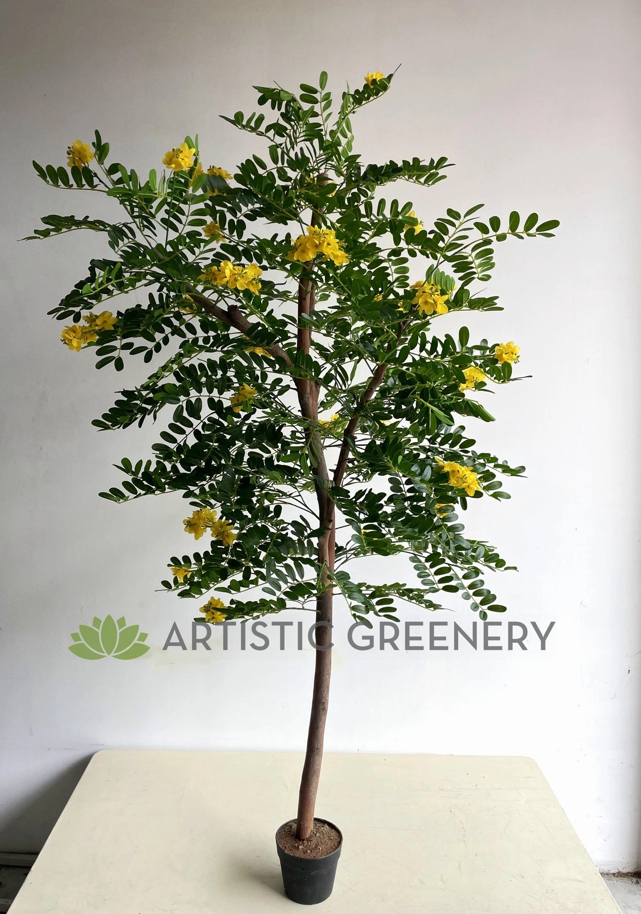 CT002 Pagoda Tree 180cm