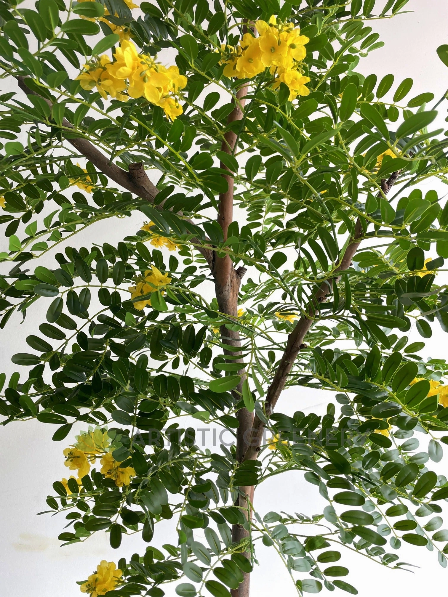 CT002 Pagoda Tree 180cm
