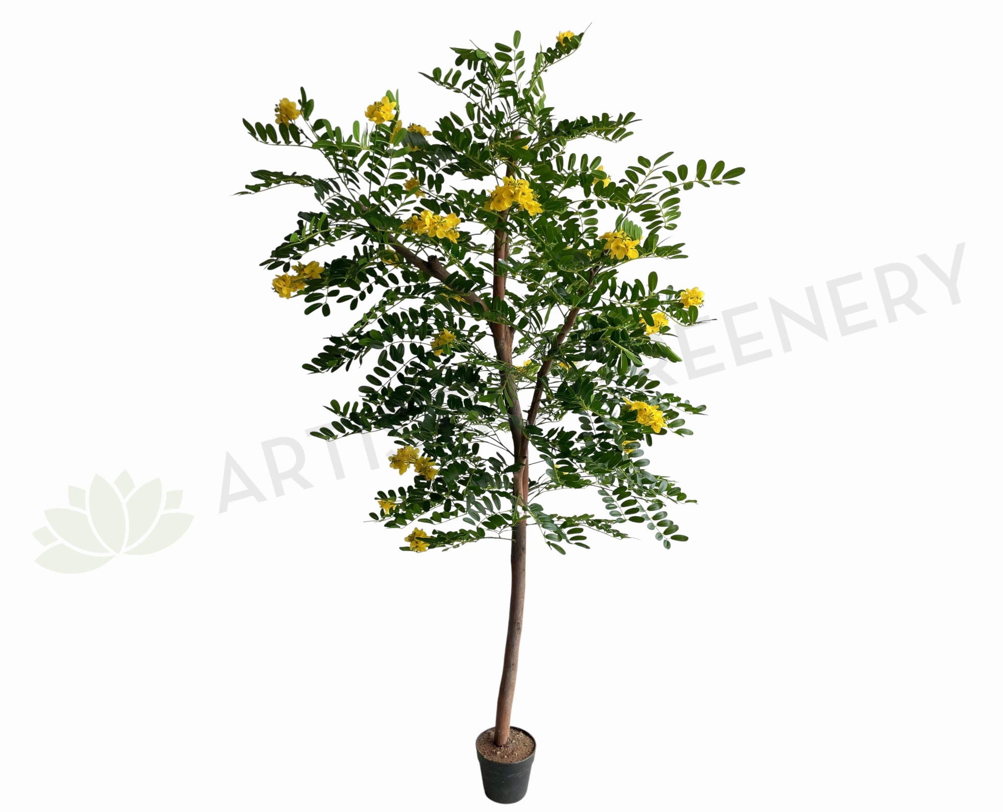 CT002 Pagoda Tree 180cm outdoor greenery  