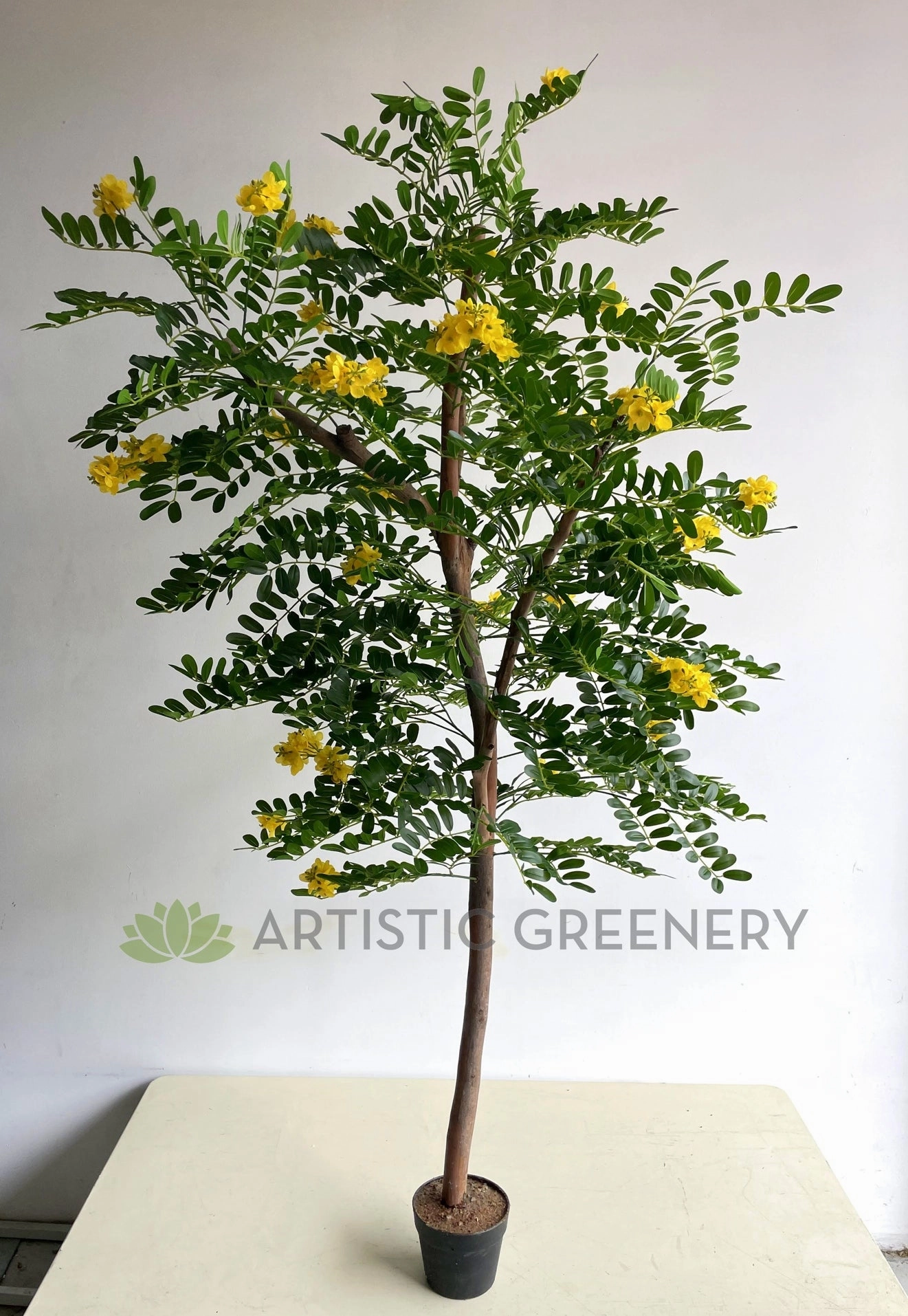 CT002 Pagoda Tree 180cm