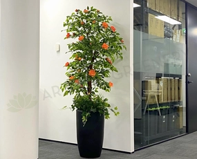 CT003 Rose Tree 160cm Orange outdoor greenery  