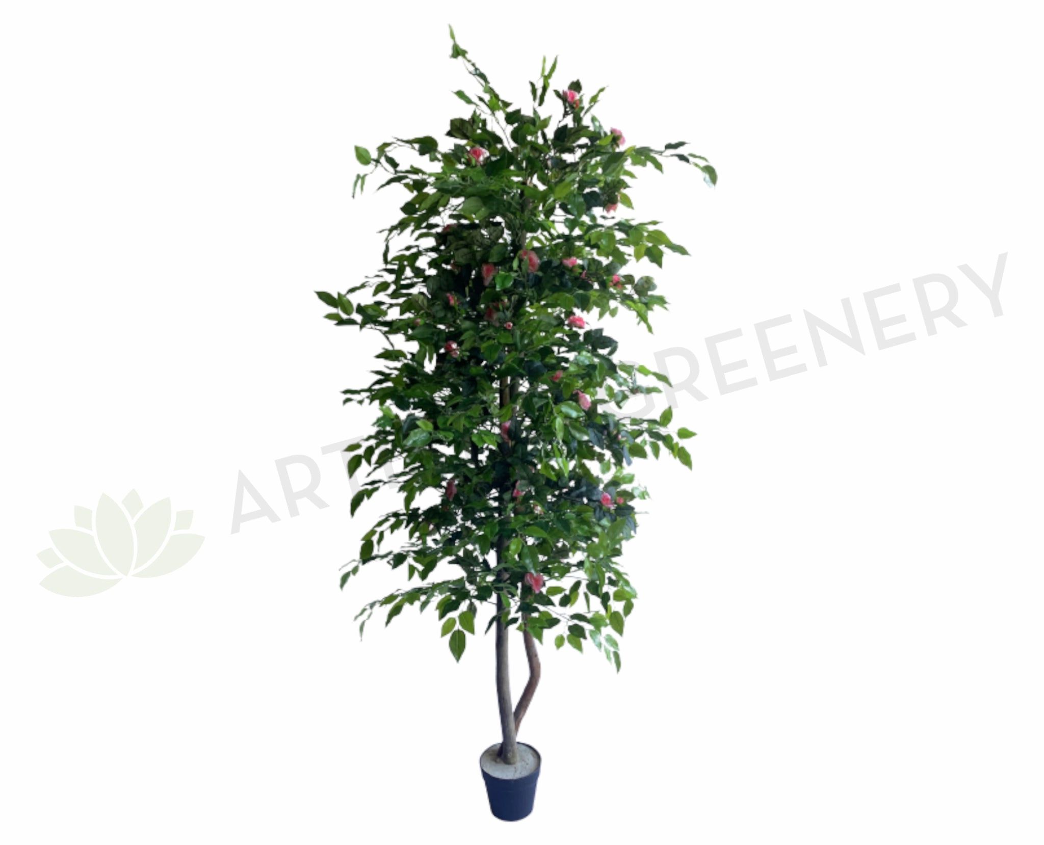 CT003 Rose Tree 160cm Pink outdoor greenery  