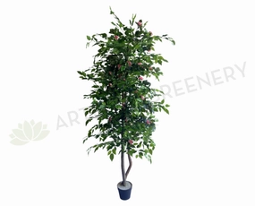 CT003 Rose Tree 160cm Pink sun perennial  