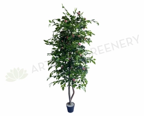 CT003 Rose Tree 160cm Pink outdoor greenery  