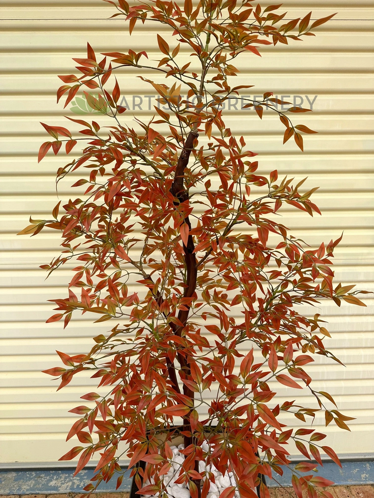 CT005 Sacred Bamboo 150cm Autumn Style
