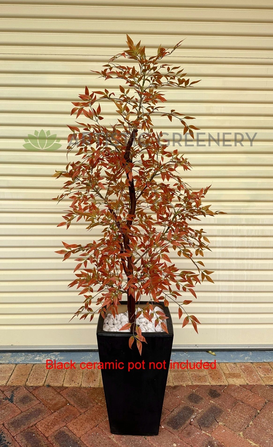 CT005 Sacred Bamboo 150cm Autumn Style