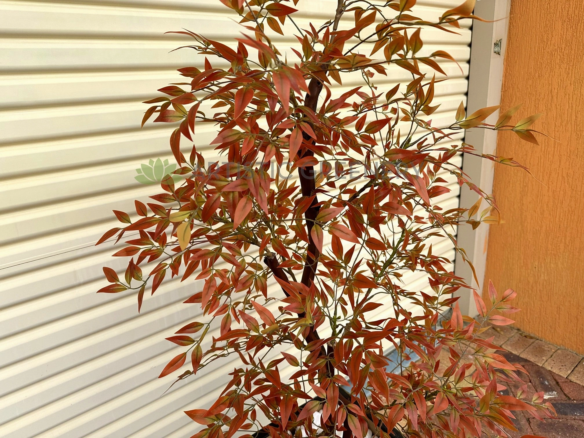CT005 Sacred Bamboo 150cm Autumn Style