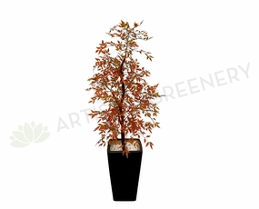 CT005 Sacred Bamboo 150cm Autumn Style sun perennial  