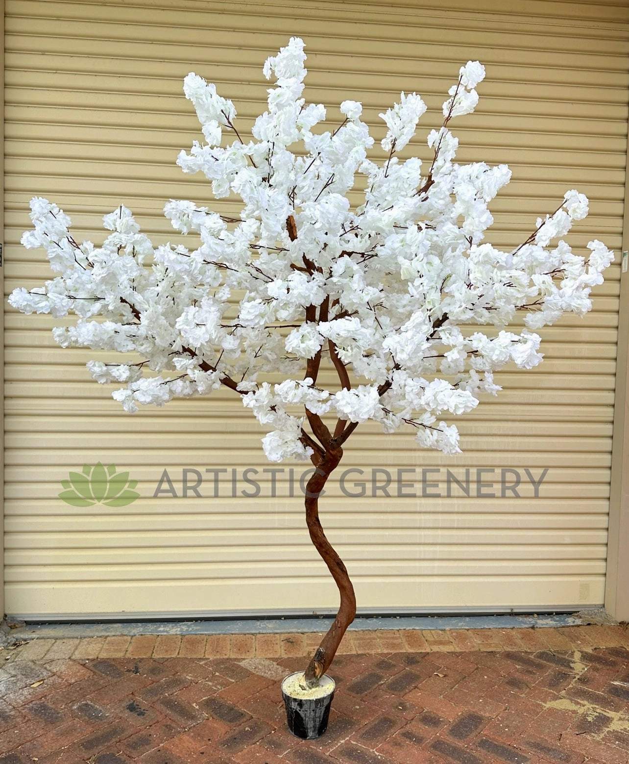 CT007-220 White Blossom Tree 220cm