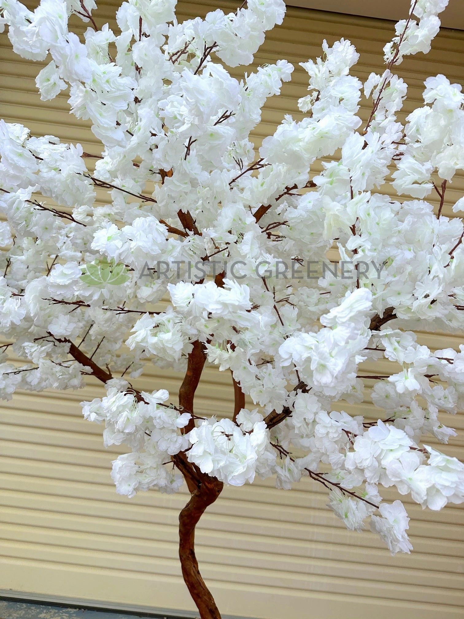 CT007-220 White Blossom Tree 220cm