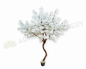CT007-220 White Blossom Tree 220cm sun perennial  