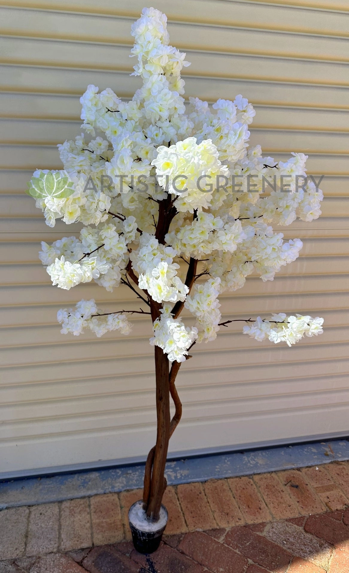 CT007 White Blossom Tree 155cm