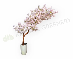 CT010 Custom-made Blossom Tree 220cm Soft Pink sun perennial  