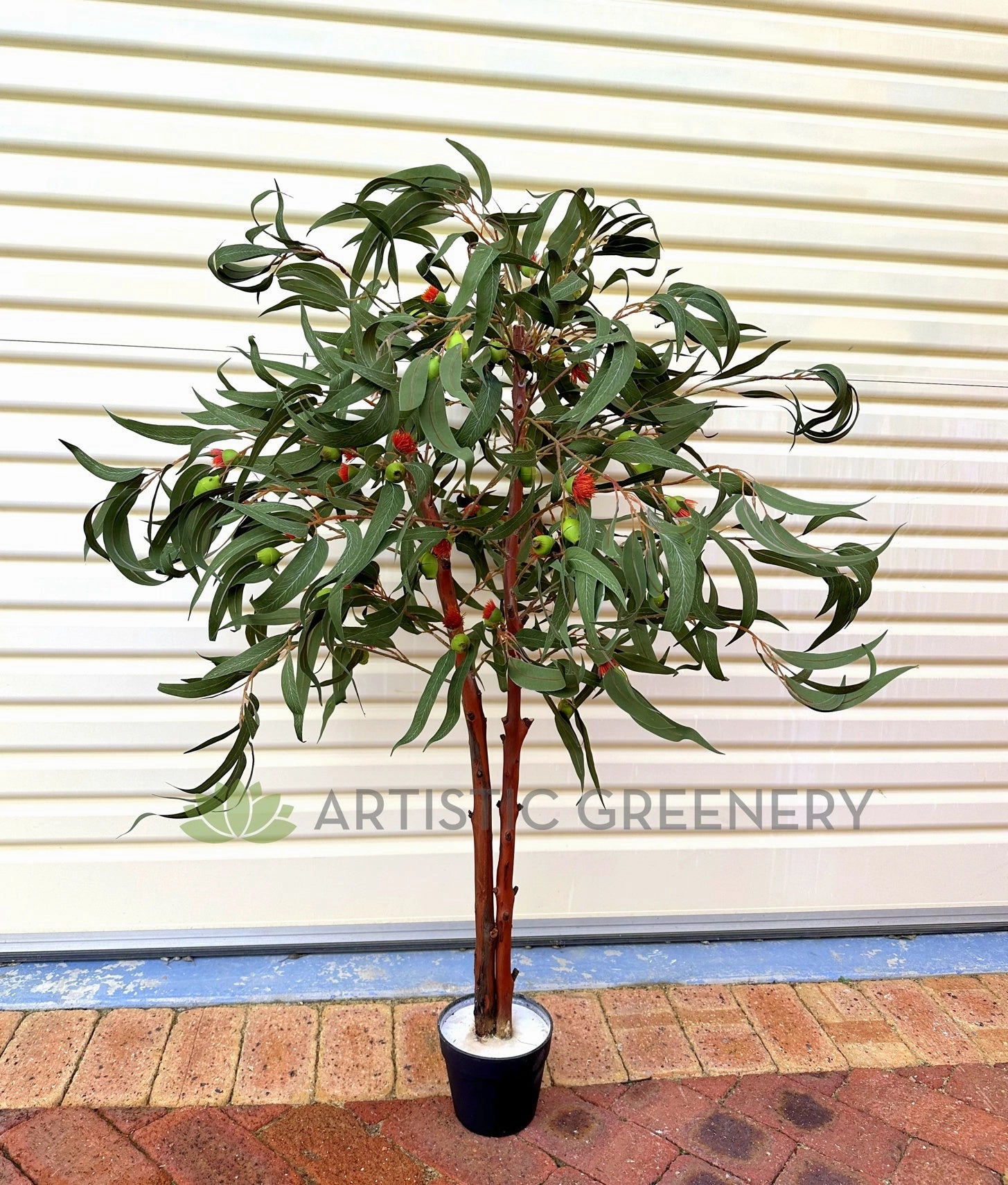 CT011 Gum Blossom Tree 120cm
