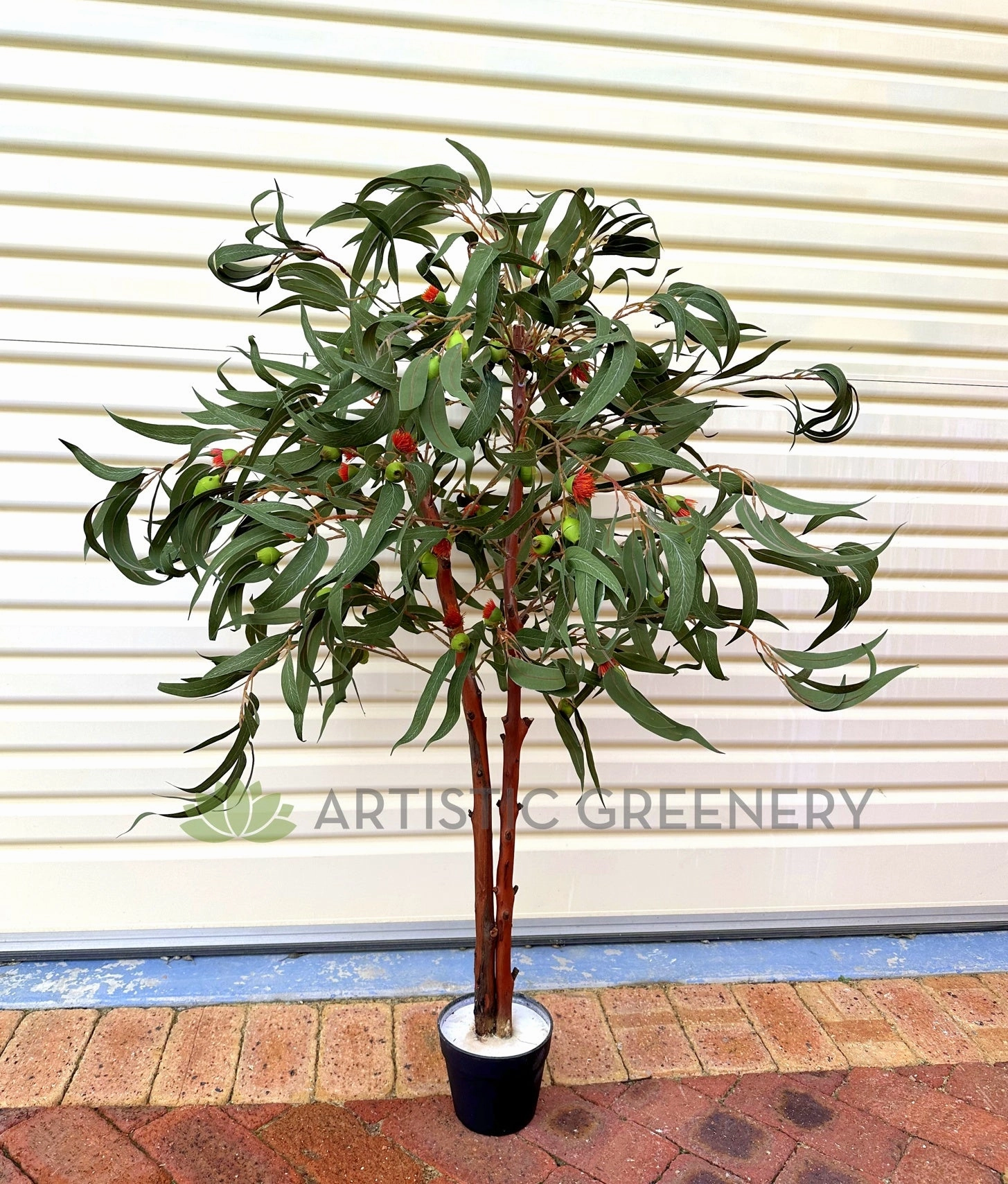 CT011 Gum Blossom Tree 120cm