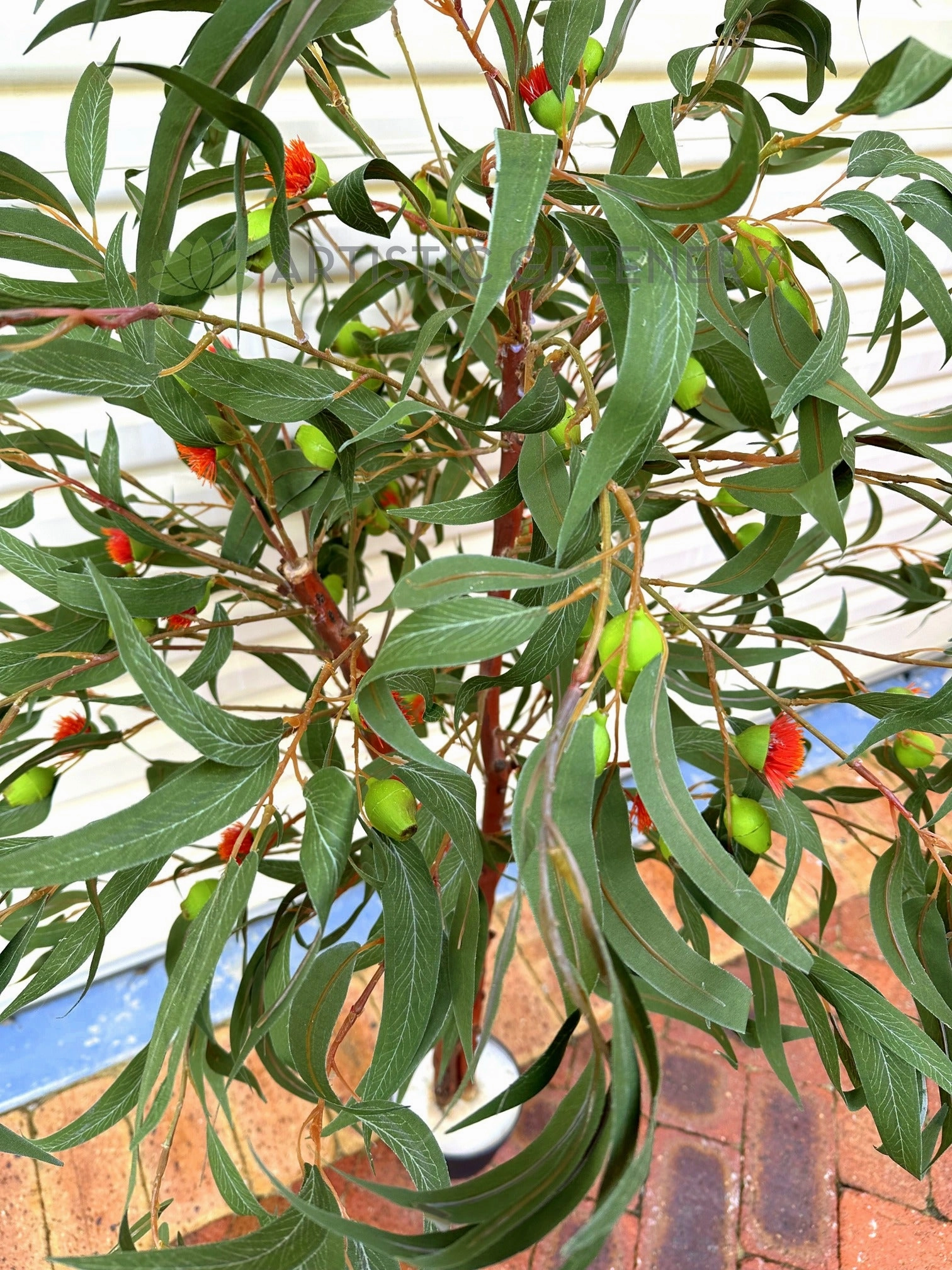 CT011 Gum Blossom Tree 120cm