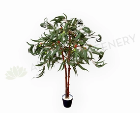 CT011 Gum Blossom Tree 120cm outdoor greenery  