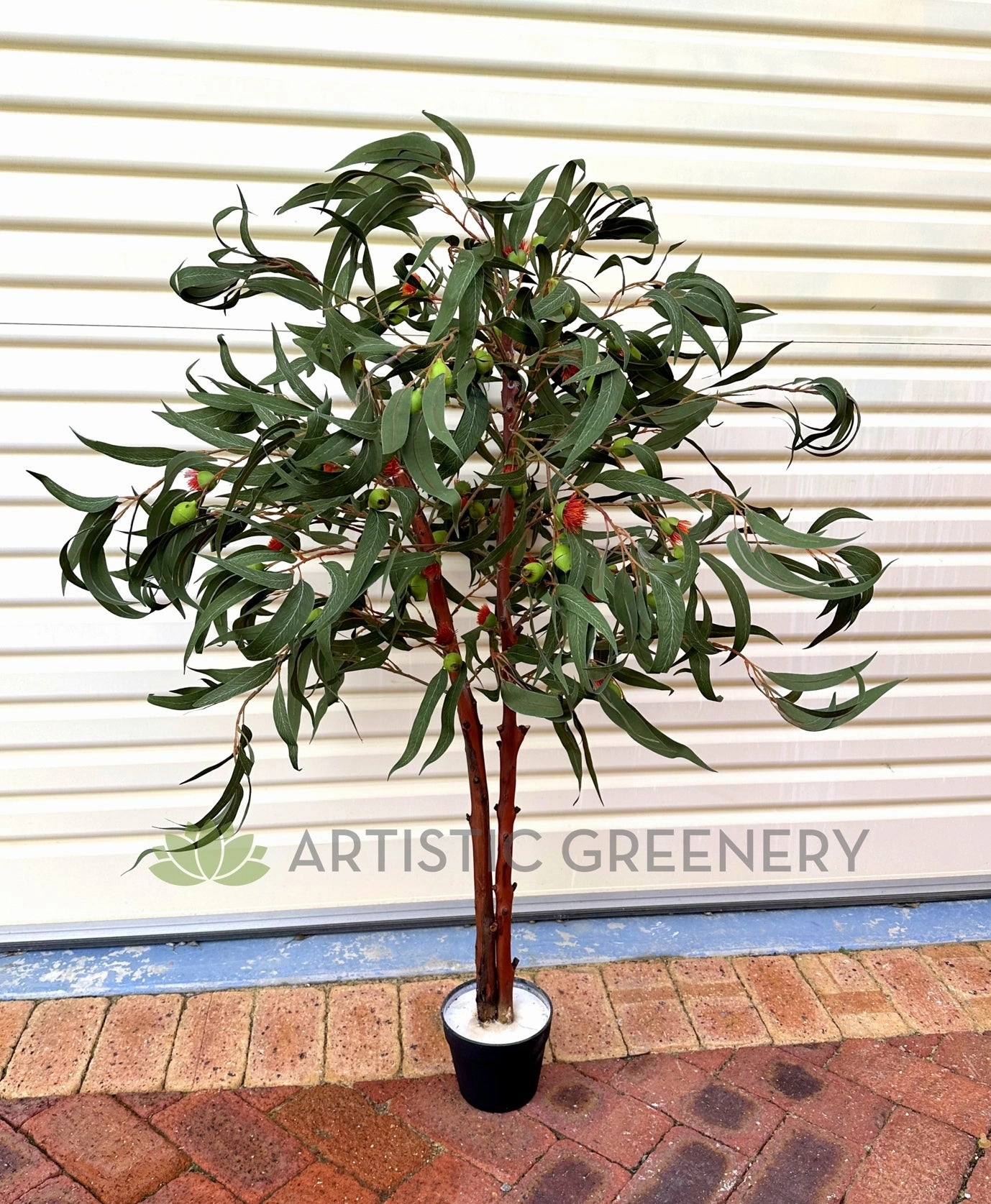 CT011 Gum Blossom Tree 120cm