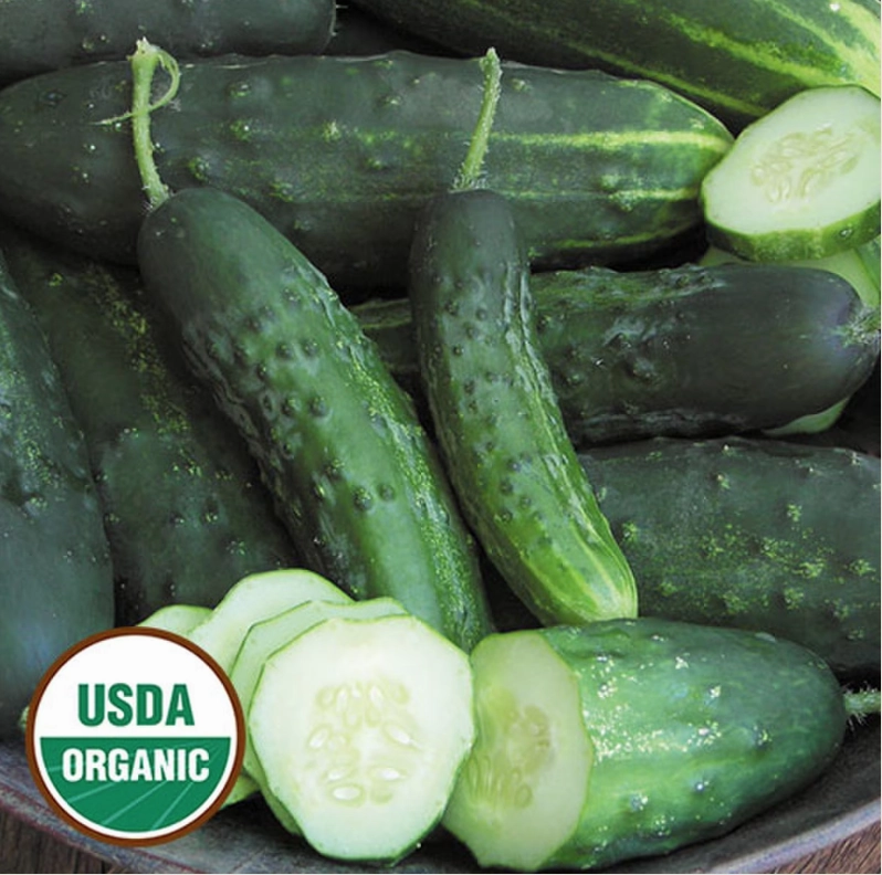 Cucumber, Early Fortune Organic Seeds floating plant shelf  