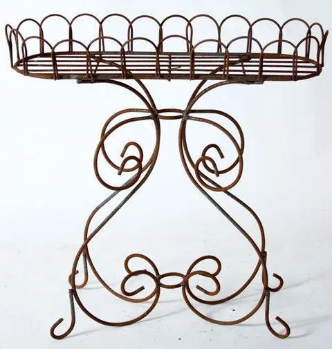 Curl Fern Stand decorative plants  