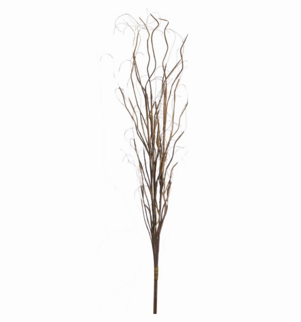 Curly Willow Bundle