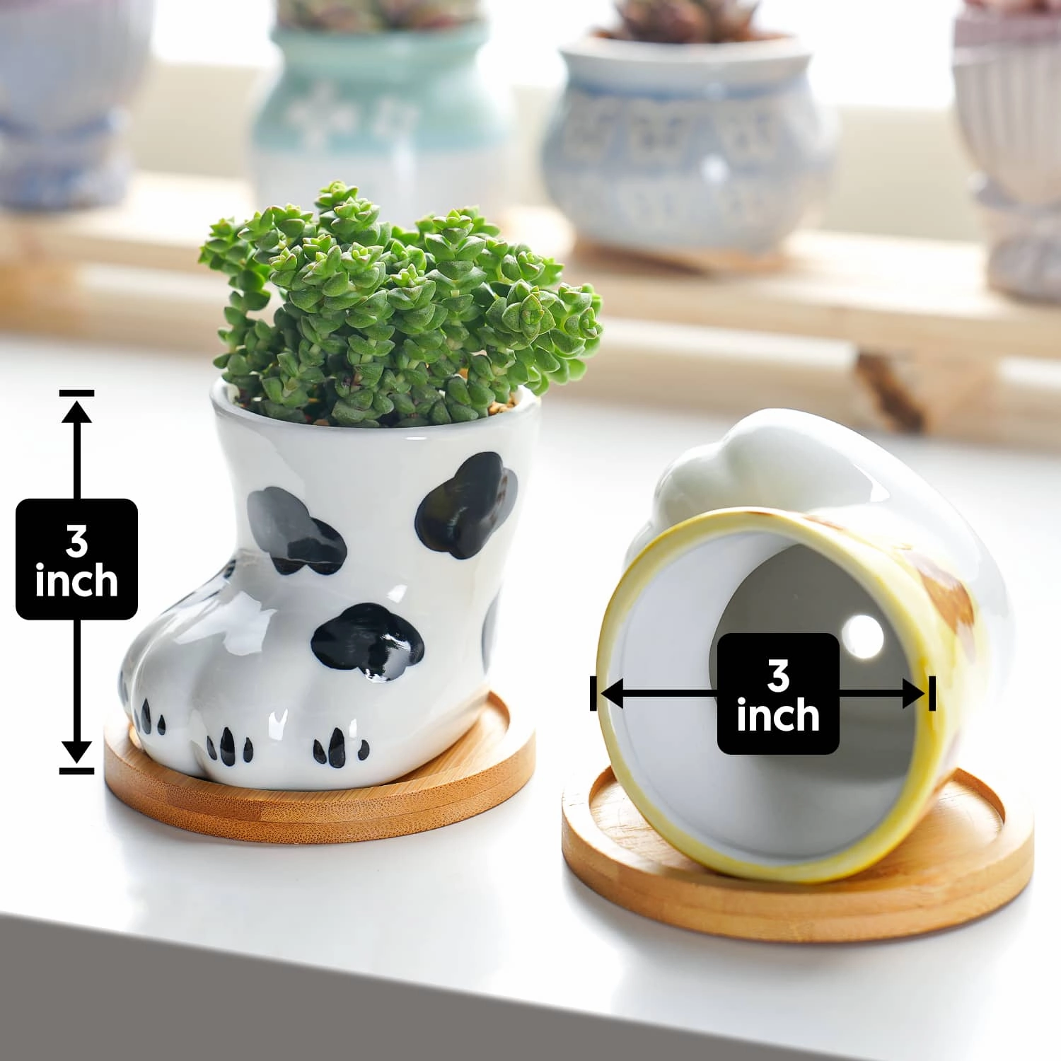 Cute Cat Paw Succulent Planters