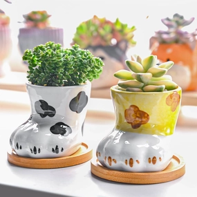 Cute Cat Paw Succulent Planters mini ornamental plant  