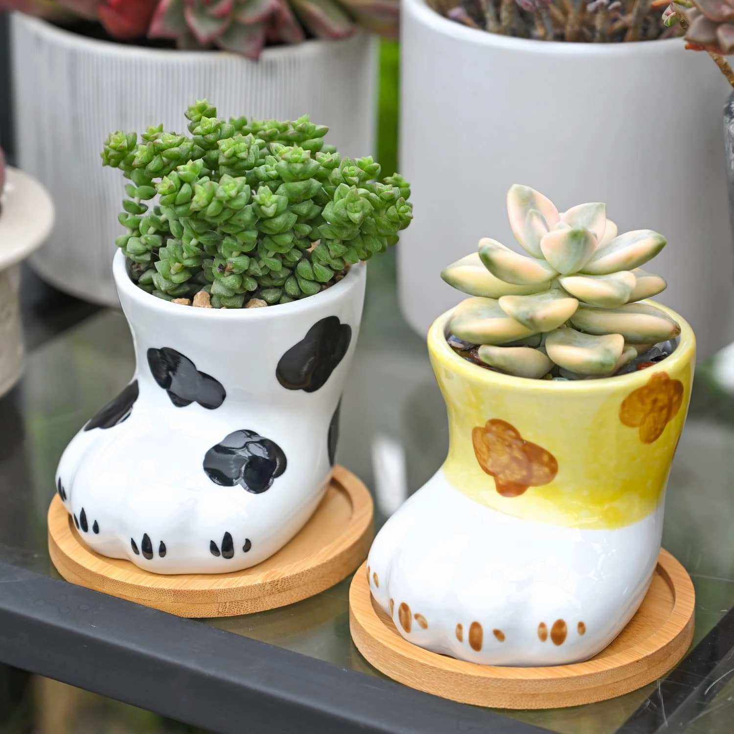Cute Cat Paw Succulent Planters