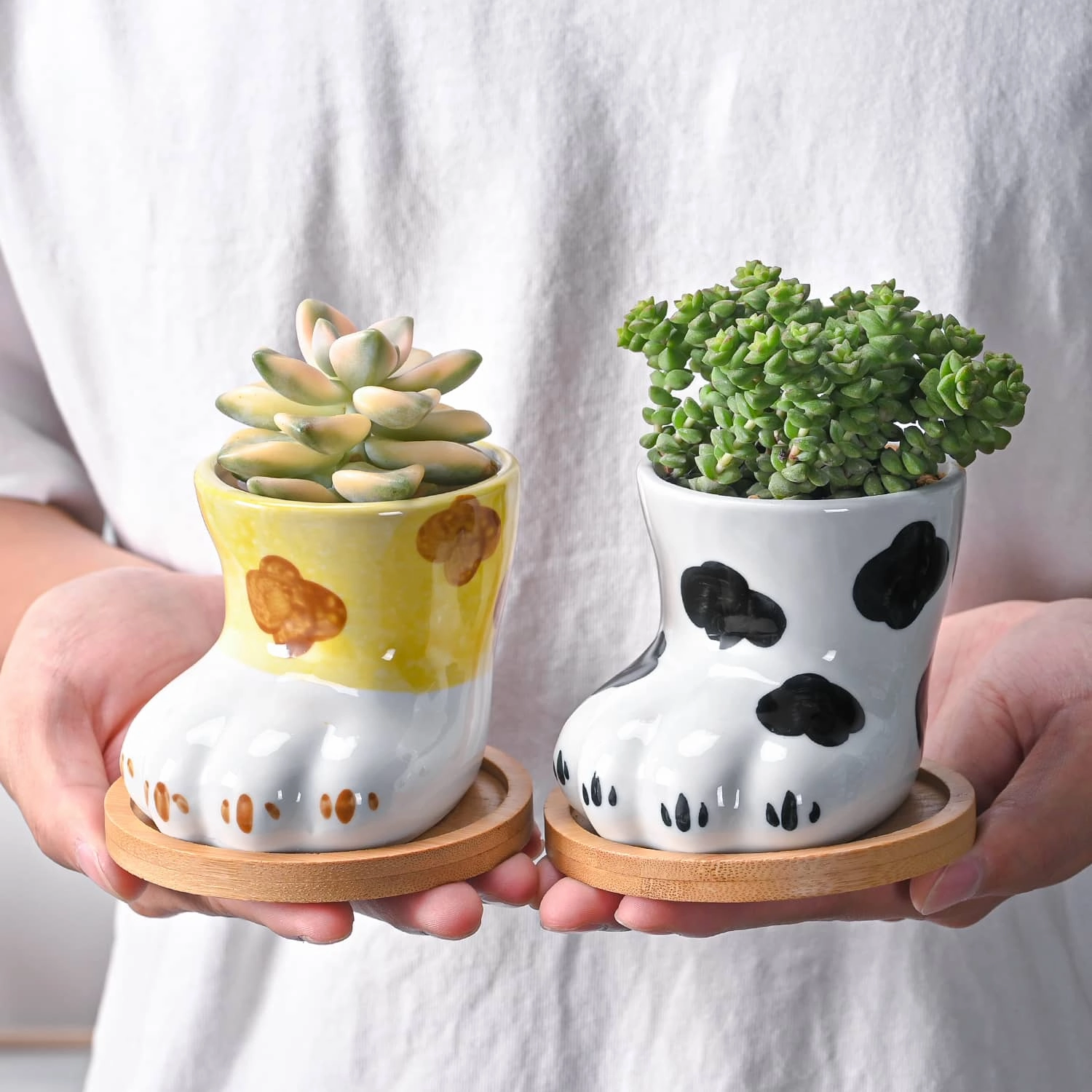 Cute Cat Paw Succulent Planters