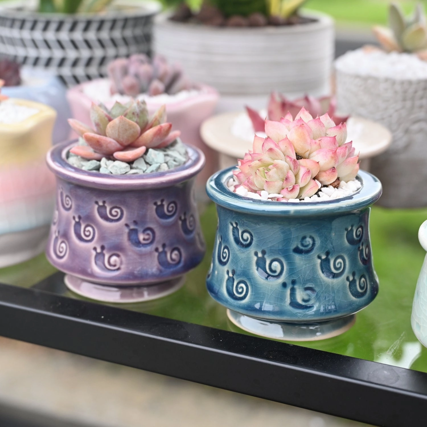 Cute Ceramic Planter Snail Printed Pattern