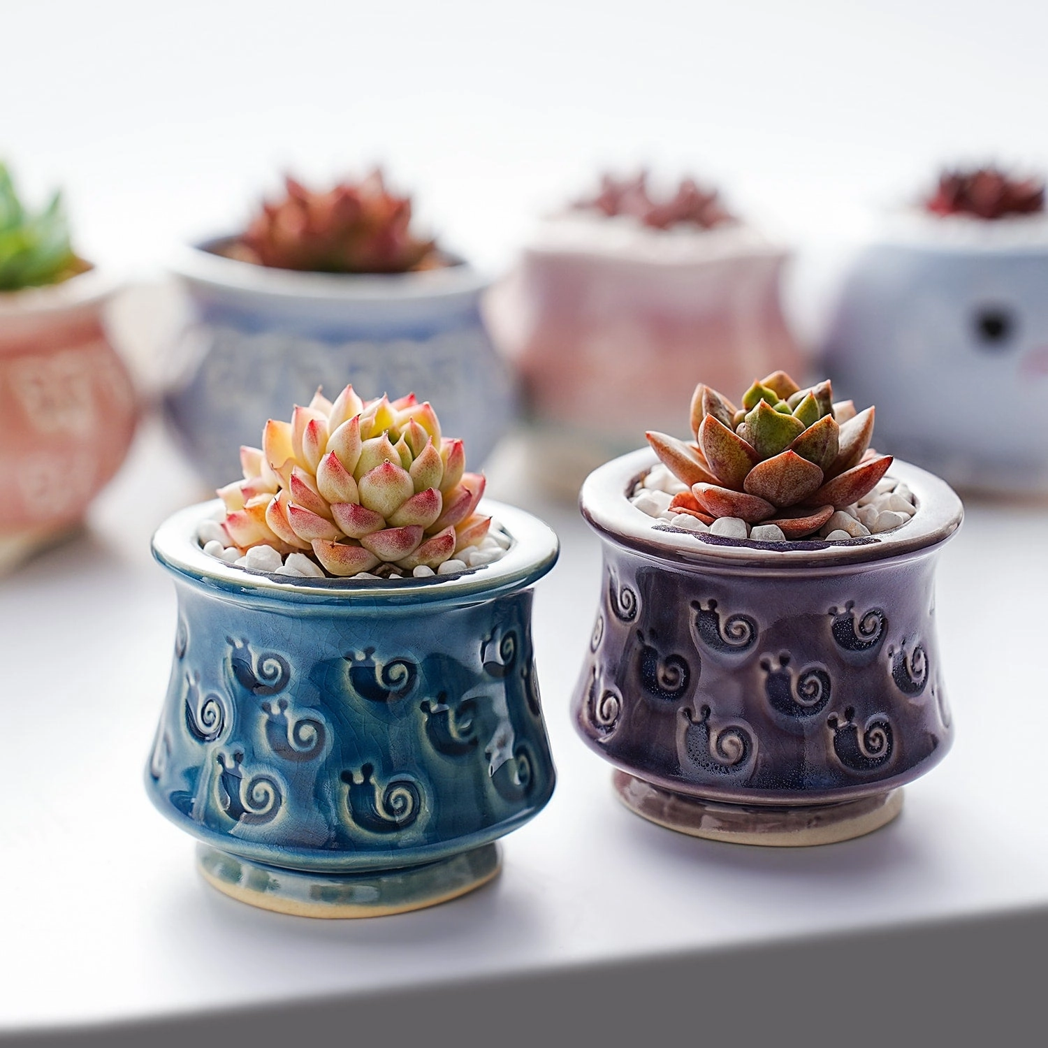 Cute Ceramic Planter Snail Printed Pattern
