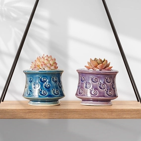 Cute Ceramic Planter Snail Printed Pattern mini ornamental plant  