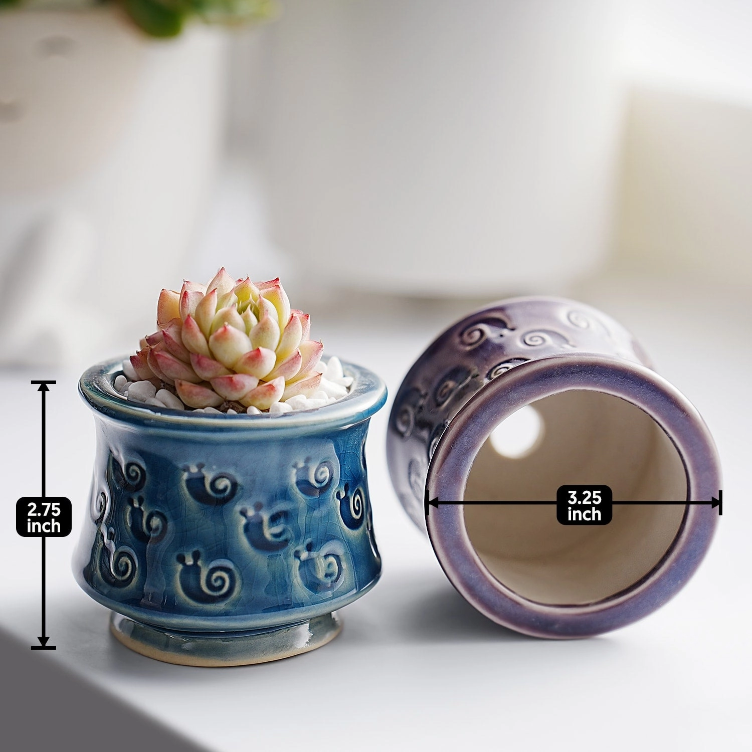 Cute Ceramic Planter Snail Printed Pattern