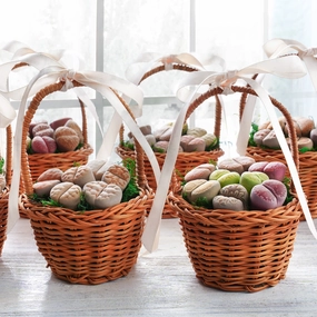 Cute Lithops Succulent Party Favors, Multi Styles For Choose (Tag Custom Supported) mini ornamental plant  