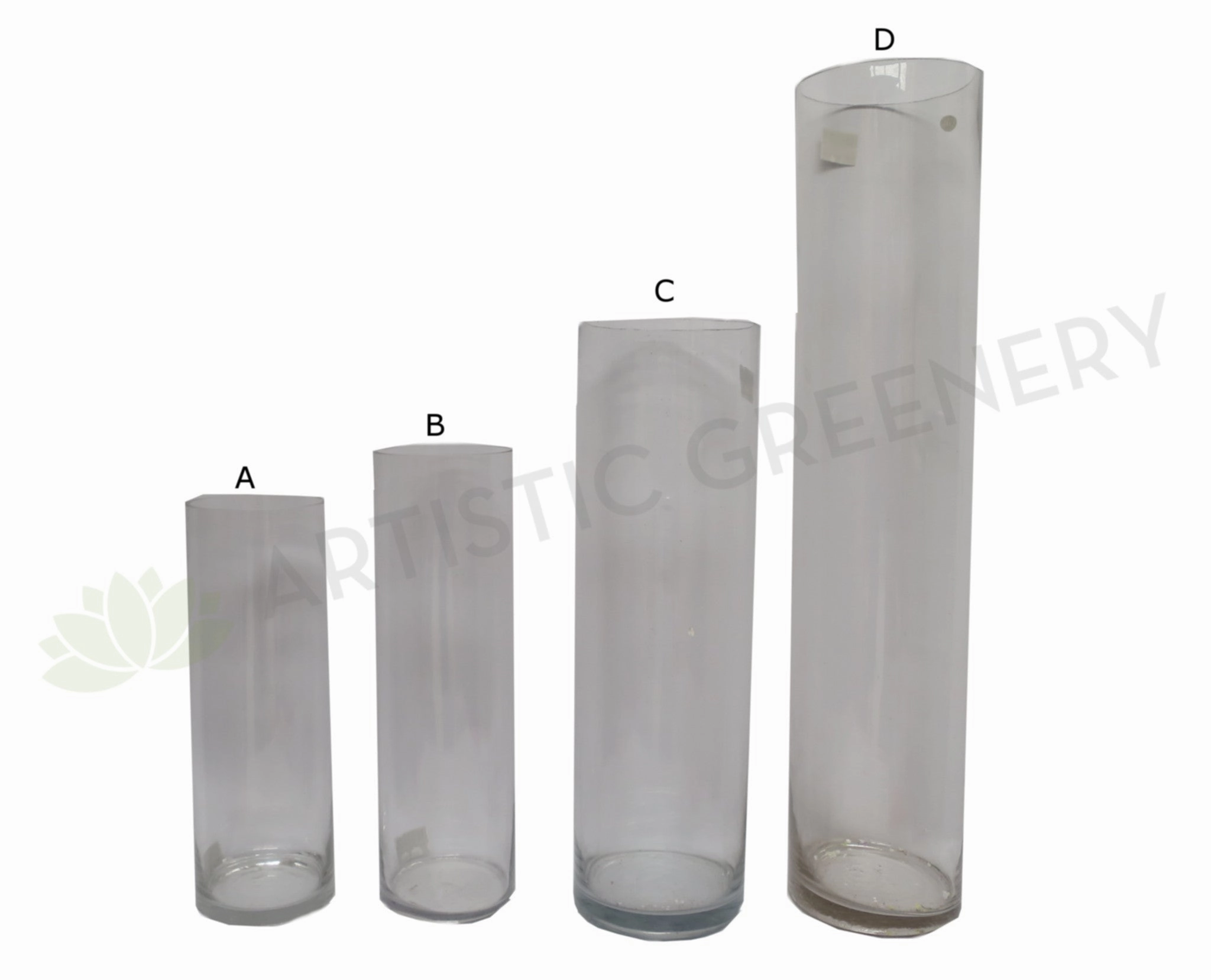 Cylinder Shaped Clear Glass Vase outdoor greenery  